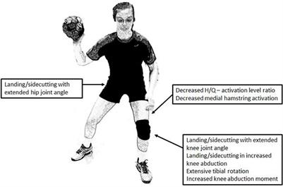 Muscle Activation During ACL Injury Risk Movements in Young Female Athletes: A Narrative Review